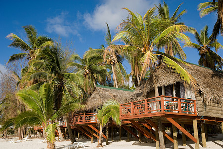 库克群岛海滩小屋和棕榈树图片