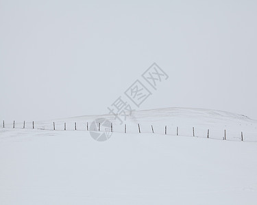 英国柴郡伯特斯里格利带栅栏柱的雪地图片