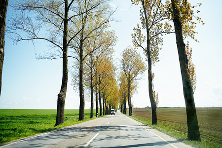 德国累斯顿农村公路图片