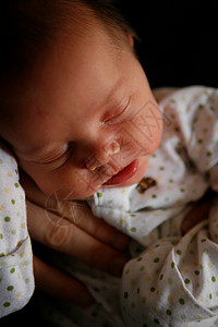 新生儿女婴图片