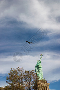 飞过自由女神像的鸟类背景图片