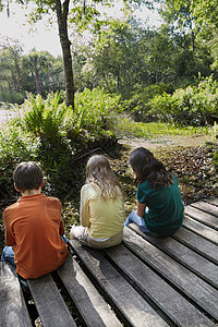 三名儿童坐在森林的木路上图片