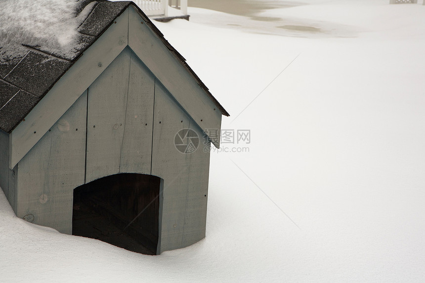 下雪时的狗沟图片