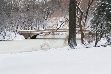 雪后城市公园大桥图片