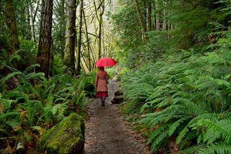 撑着雨伞在森林中行走的女人图片