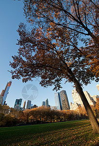 美国纽约市曼哈顿中央公园城市的高清图片素材
