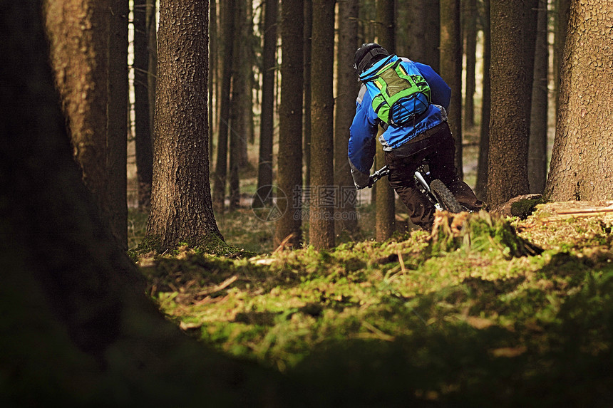 骑自行车穿越森林的男人图片