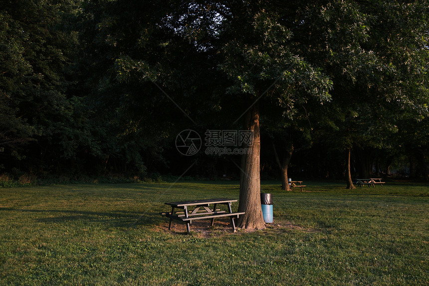 公园树旁的座椅图片