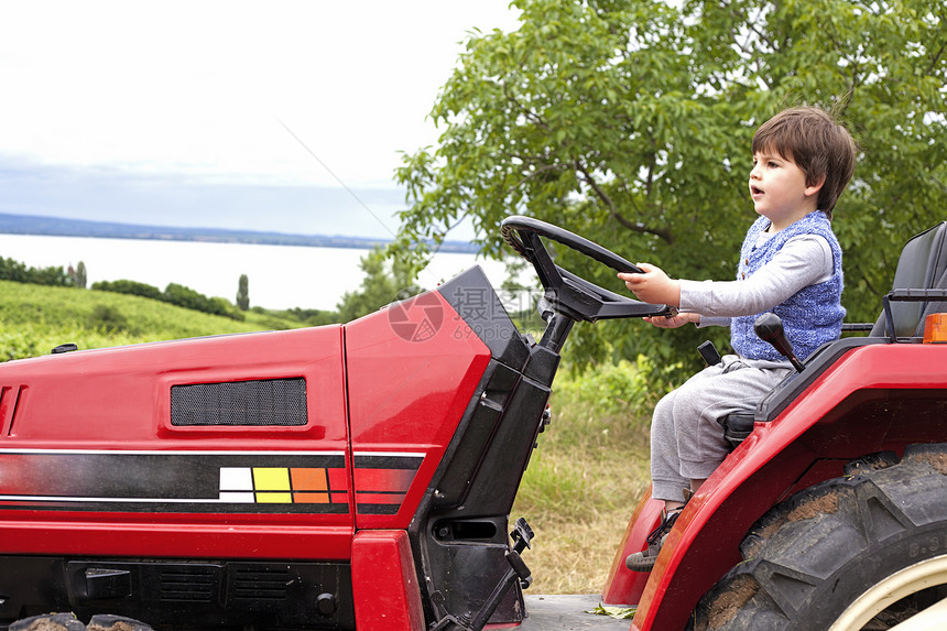 男幼儿在花园里驾驶拖拉机图片