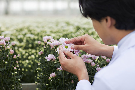 科学家观察花朵图片