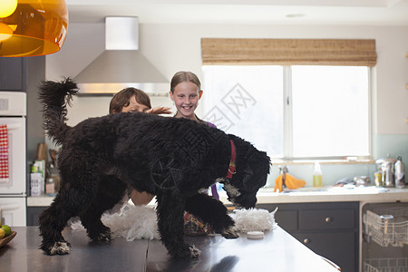 母亲和女儿在厨房柜台上玩狗狗闲暇高清图片素材