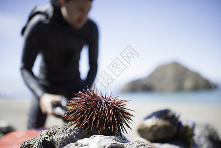 海边风景图片