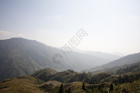远处耕种的龙脊梯田稻田背景图片