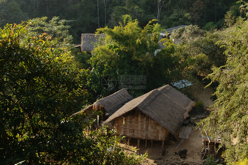 泰国BanYafu村山地部落竹屋图片