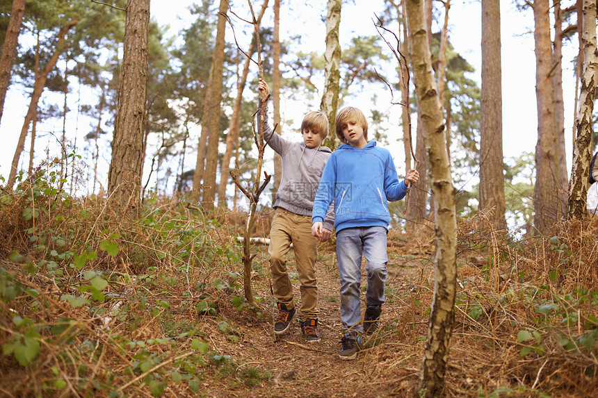 双胞兄弟在树林里漫步图片