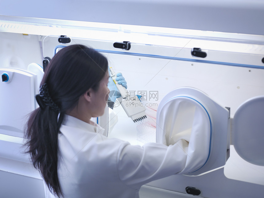 女科学家利用实验室工作站内的管子进行细胞培养图片