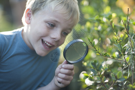 在花园中使用放大镜看植物的男孩图片