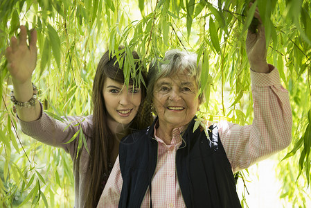 奶奶和孙女在柳树下图片