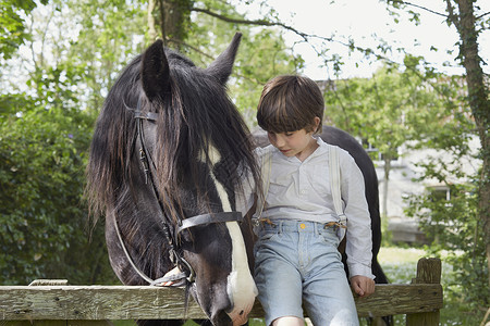 男孩与马坐在农场门上俯视高清图片素材