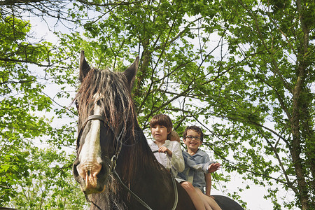 三名男孩骑马的低角度视幸福高清图片素材