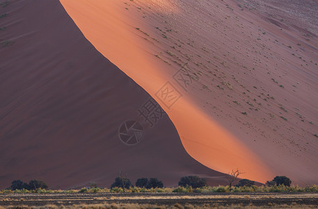 纳米比亚索苏夫莱公园巨型沙丘高清图片