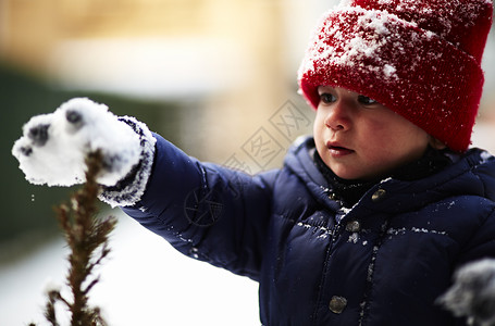 小男孩下雪天玩雪图片