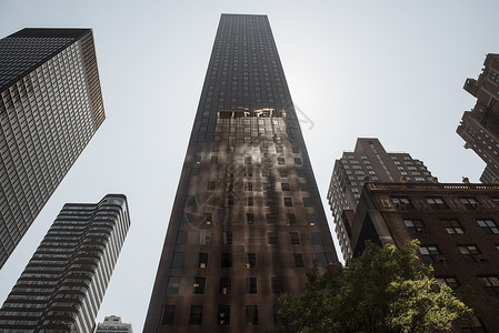 美国纽约曼哈顿Skycraper白天高清图片素材