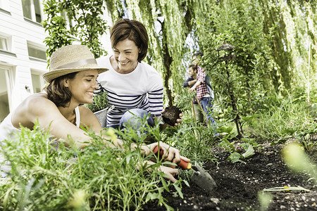 成人中年男子在花园里种植物图片