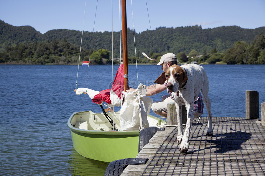 新西兰奥卡雷湖上准备帆的成年男子图片