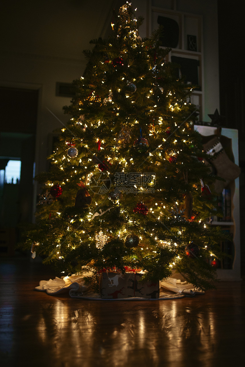 夜间室内圣诞树图片