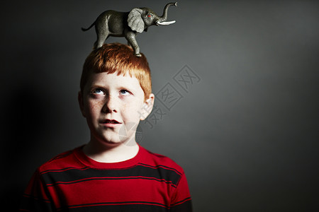 头顶有大象完玩具的男孩图片