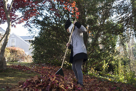女园丁在公园里清扫一堆秋叶图片