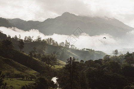 黎明时的在雾里的兰金上韦拉帕斯危地马中美洲高清图片