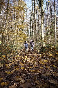 两个男孩走路穿过树林图片