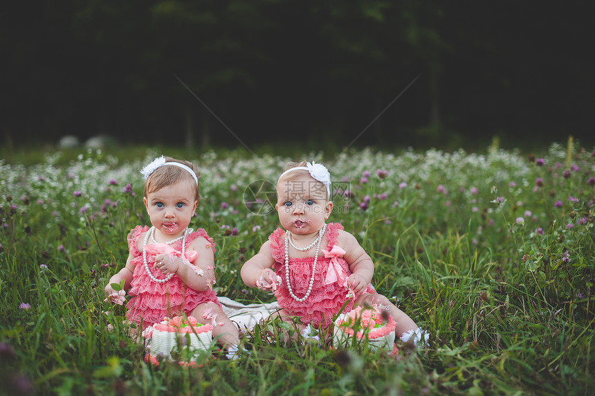 坐在野花草地上吃生日蛋糕的双胞胎婴儿图片