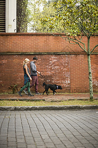 人行道上的遛狗的夫妻图片
