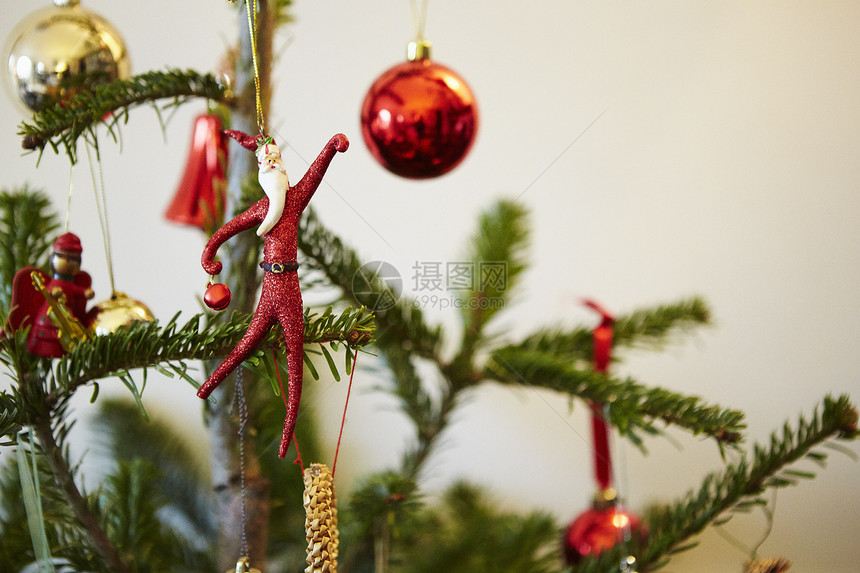挂在树上的圣诞装饰图片