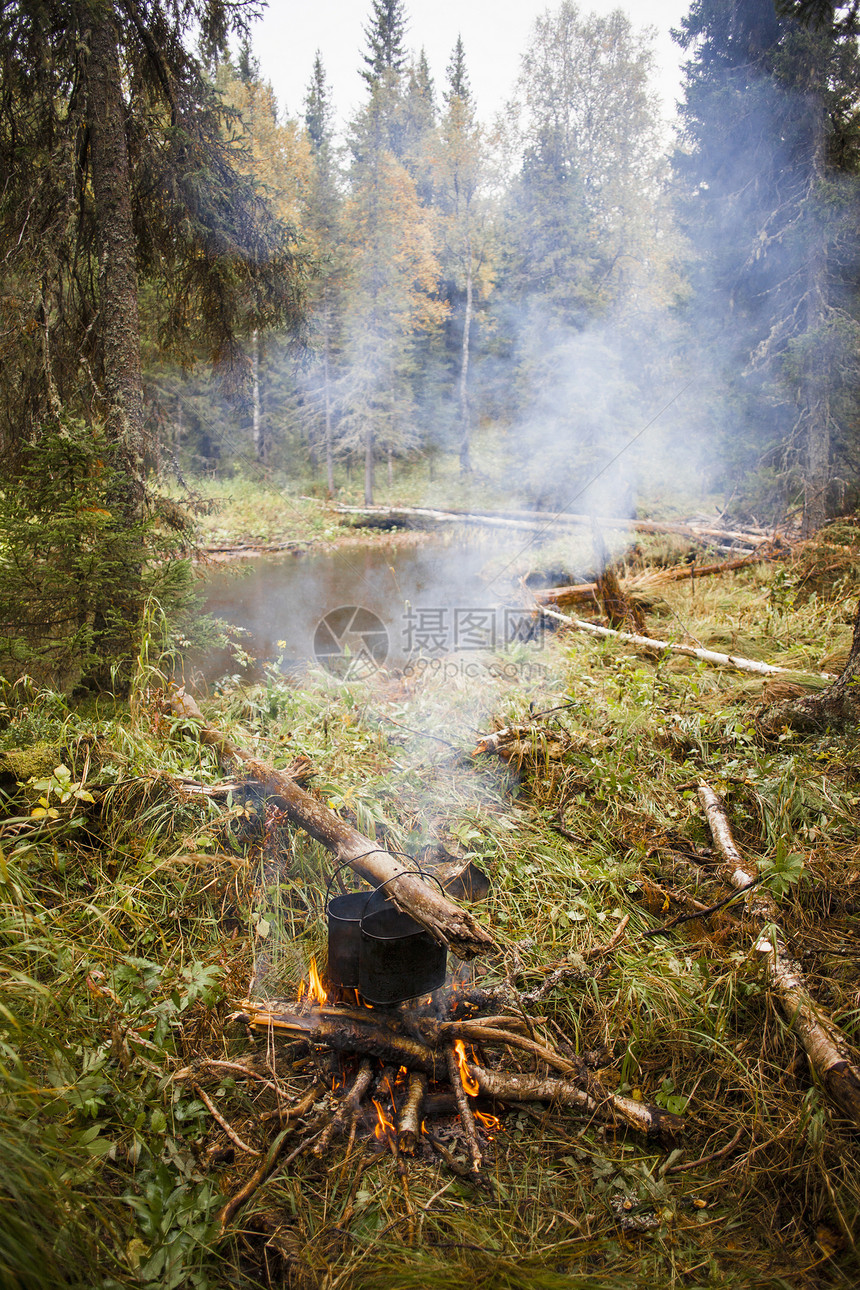 俄罗斯维尔德洛夫克州萨尔西村森林营火图片