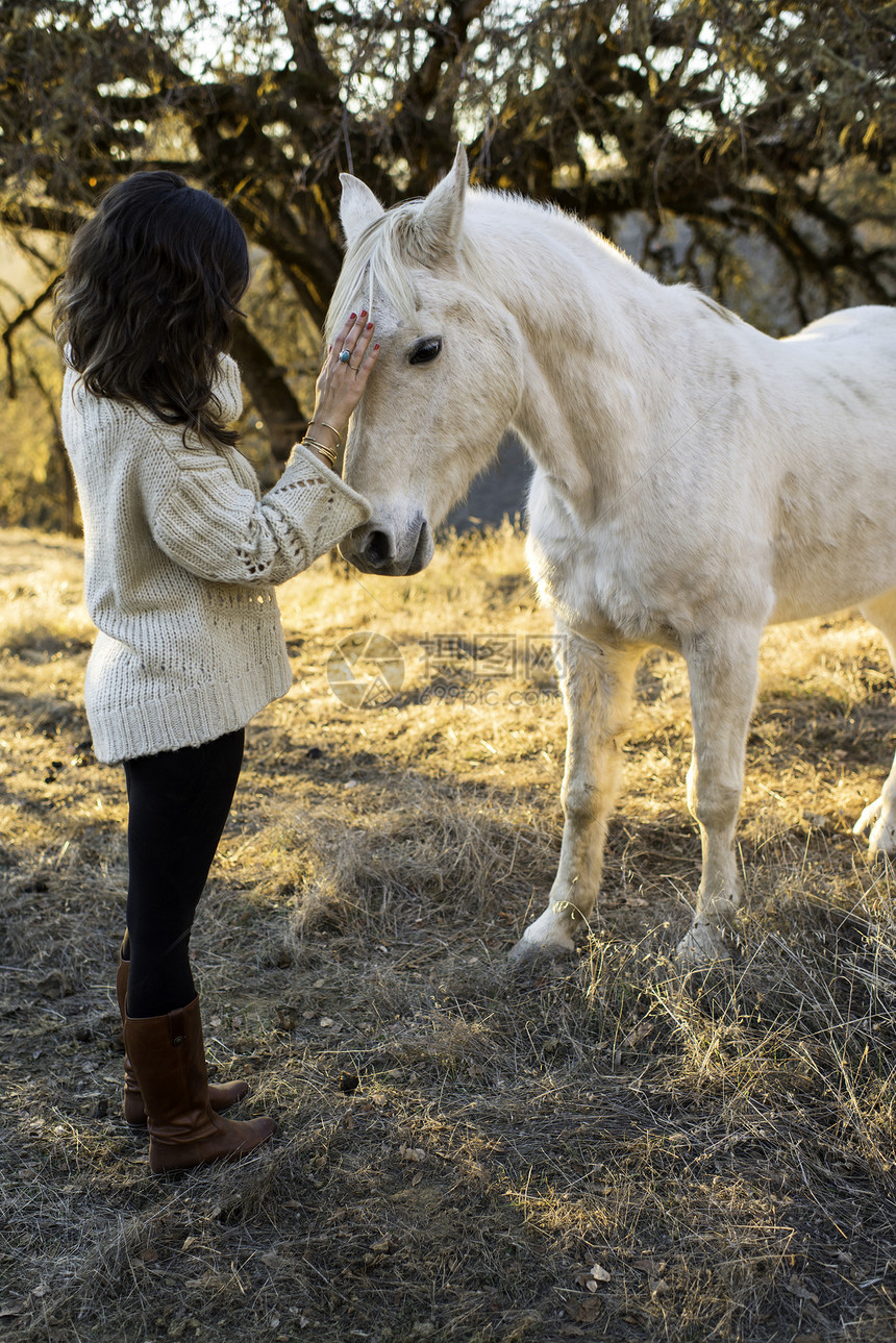 在野外抚摸白马的年轻女子图片