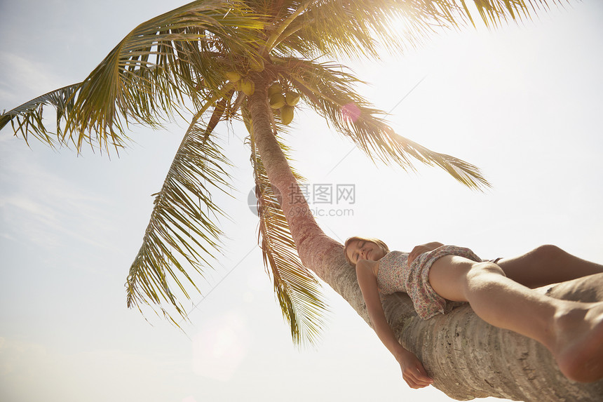 女孩背靠棕榈树图片