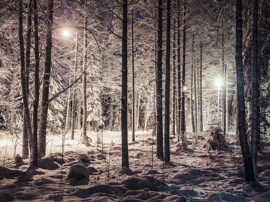 白雪森林的晚上夜景图片