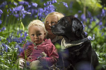 在蓝铃林中抱着妹妹和狗狗的年轻男孩图片