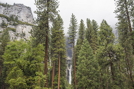 美国加利福尼亚州约塞米特公园森林和瀑布景图片
