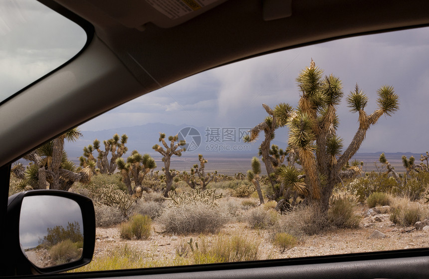 美国犹他州雪谷州立公园约书亚树的车窗视图图片