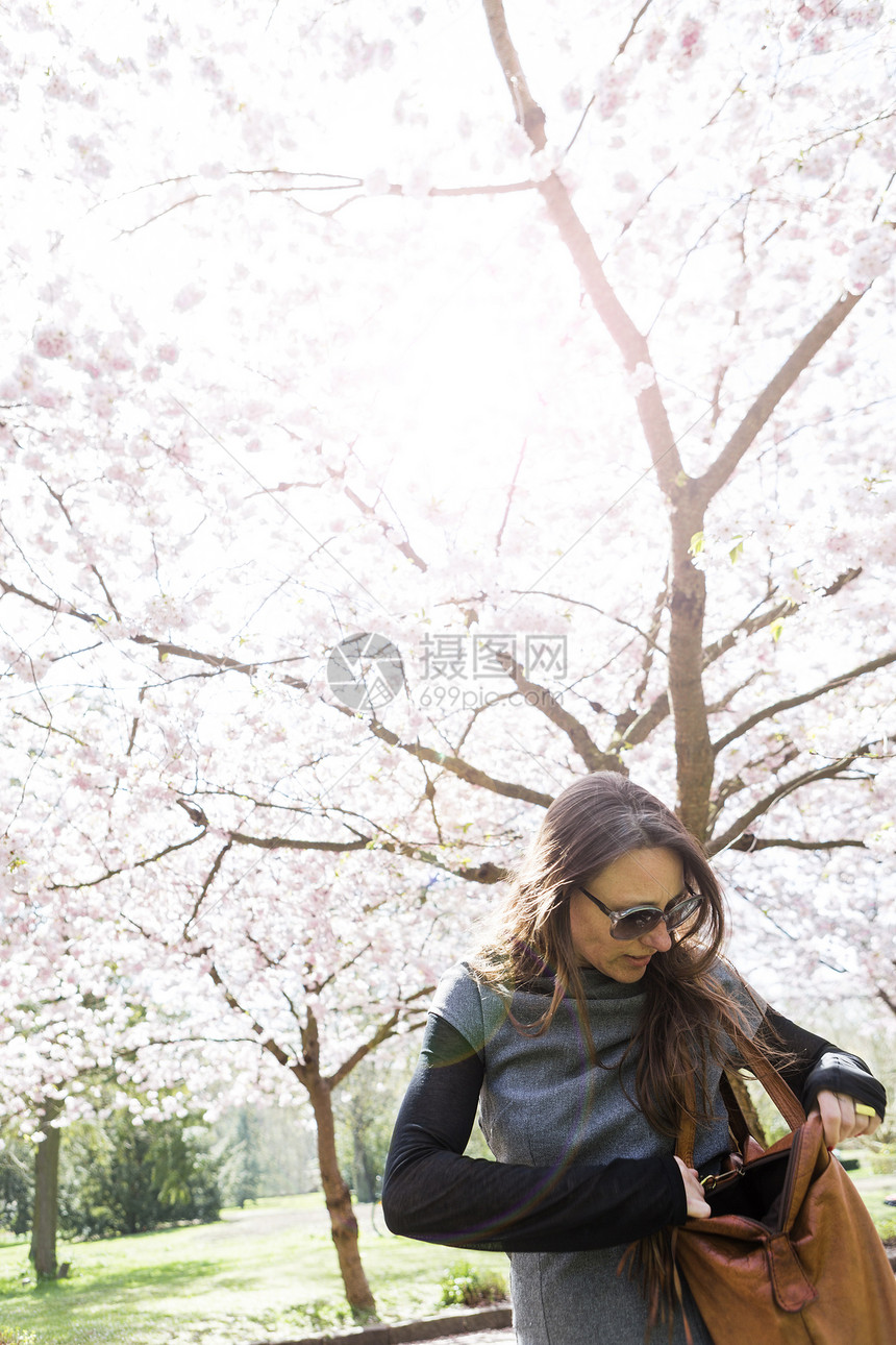 在樱花树下翻找袋子的年轻女性图片