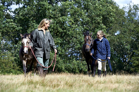 母亲和女儿在田间骑马动物主题高清图片素材