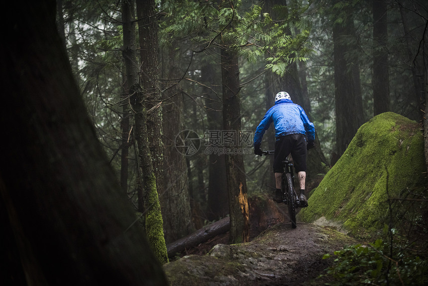 男山上骑自行车穿越森林背影图片