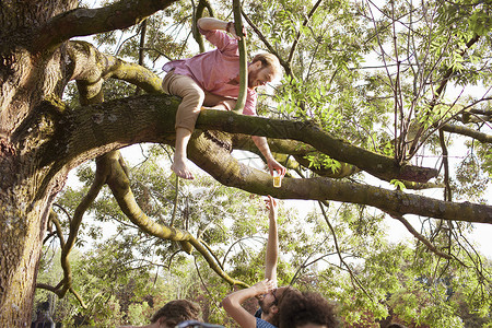 在日落公园派对上青年男子在树上为朋友送酒荷兰高清图片素材