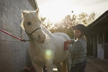 女孩在马厩上梳理白马温顺的高清图片素材