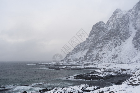 挪威群岛海岸的雪风暴图片